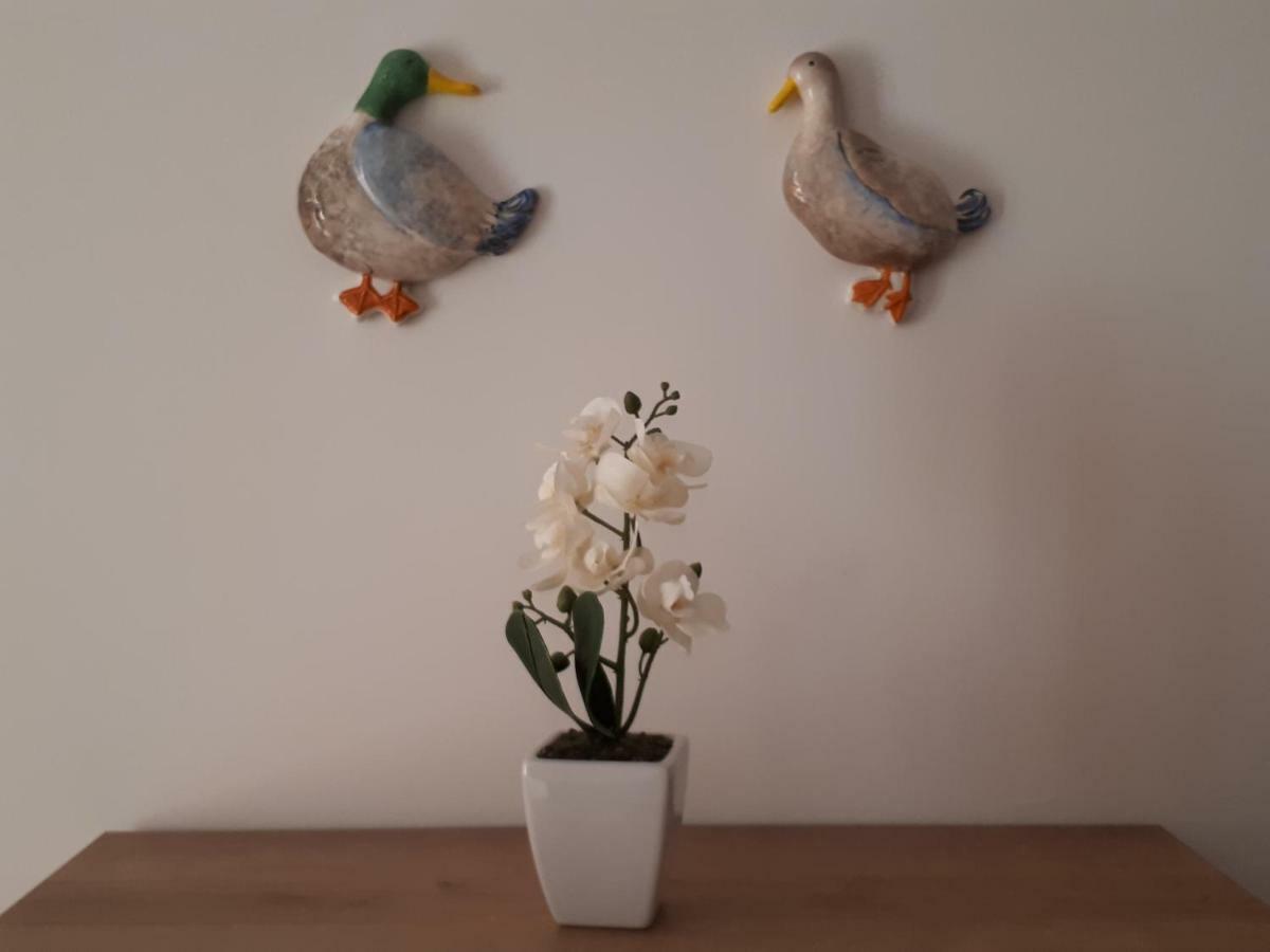 Comfort Apartment No. 16, Daffodil Court San Pawl il-Baħar Zewnętrze zdjęcie